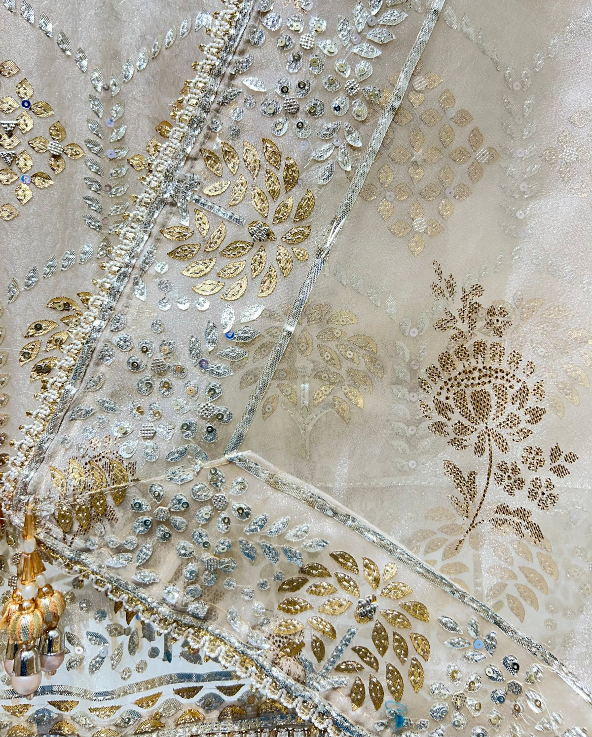 Zarmeiraa Tissue Organza Suit