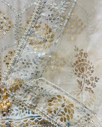 Zarmeiraa Tissue Organza Suit