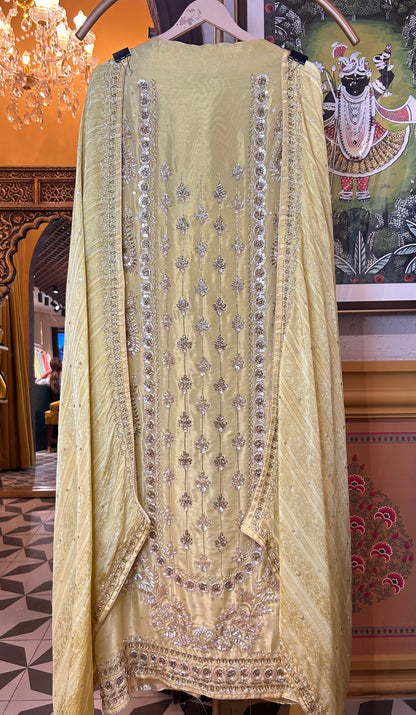 Vritika Shimmer Organza Suit