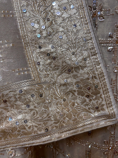 Noorjehan Organza Suit