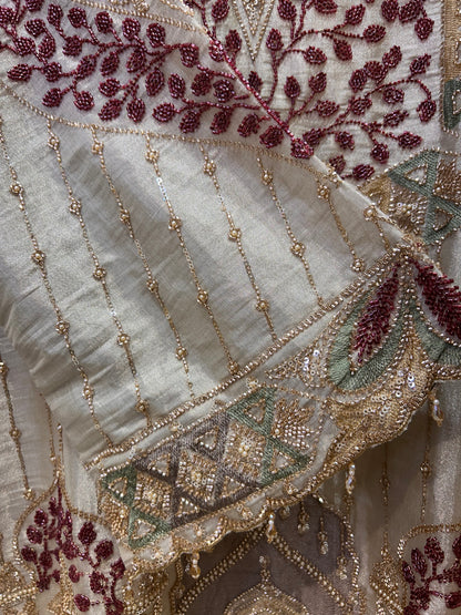 Vaanya Organza Elegance Set