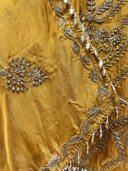 Arohaira Organza Suit