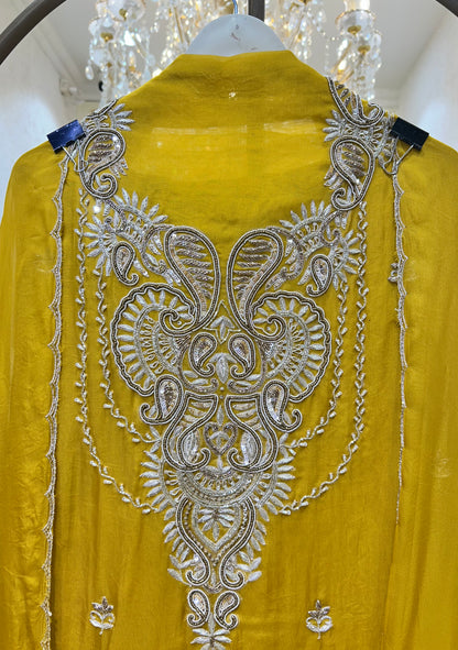 Shabnoor Organza Suit