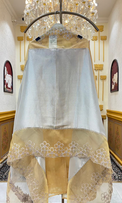 Ziana Zari Organza Suit