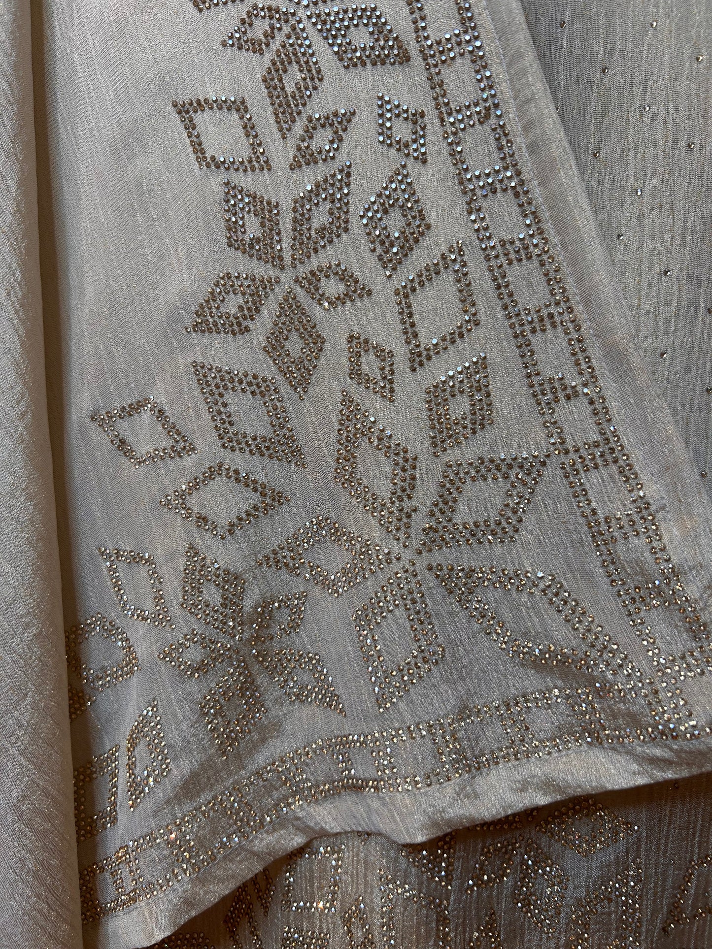 Aureliya Organza Suit
