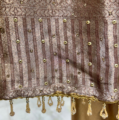 Chandzari Organza Suit