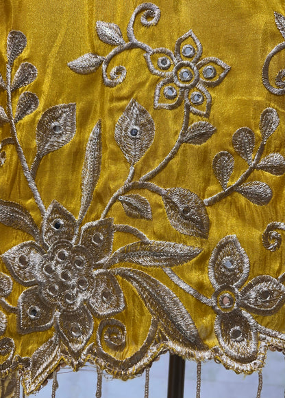 Ruhanshi Shimmer Silk Suit