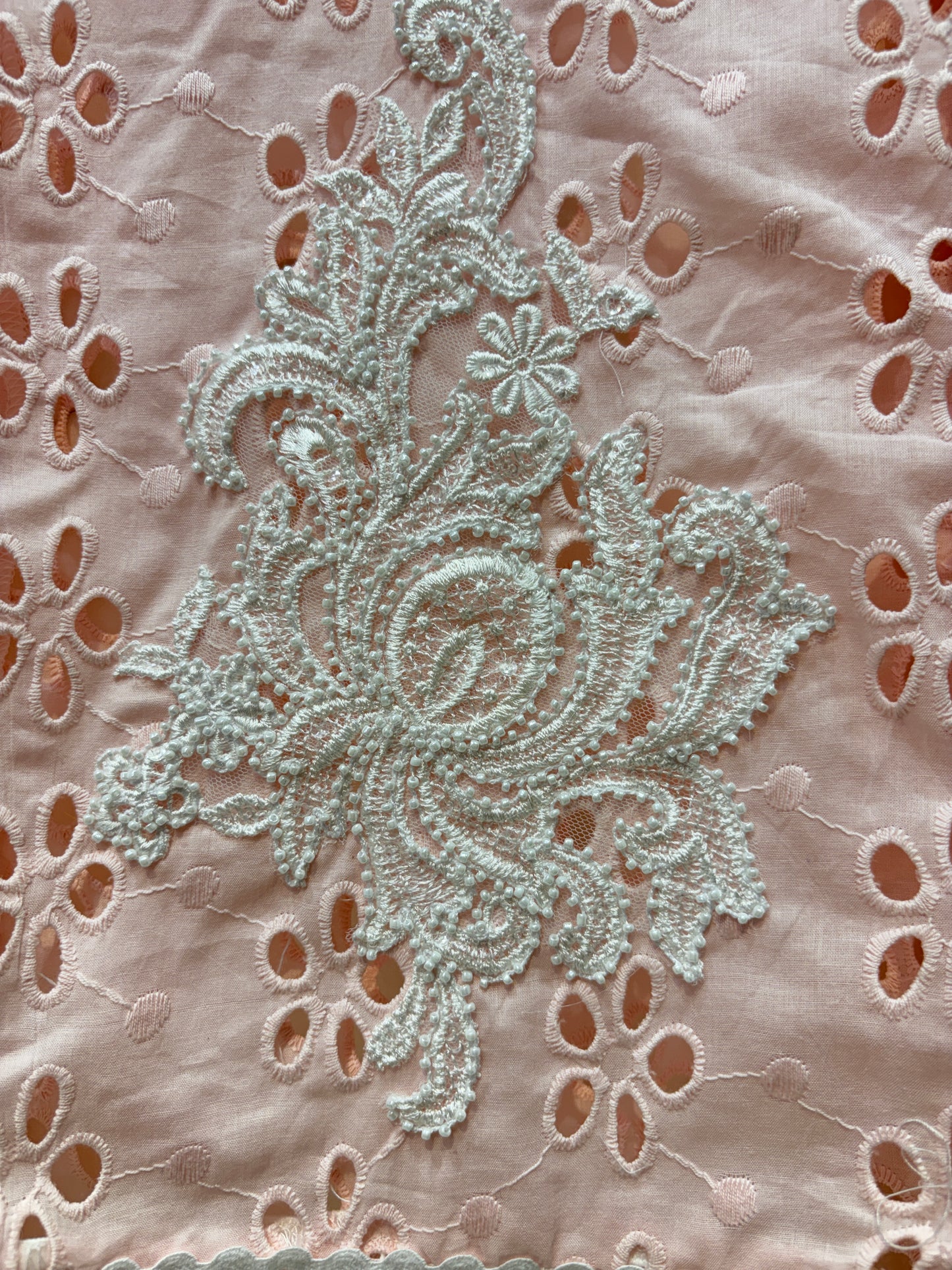 Safaira Chikankari Farshi Set