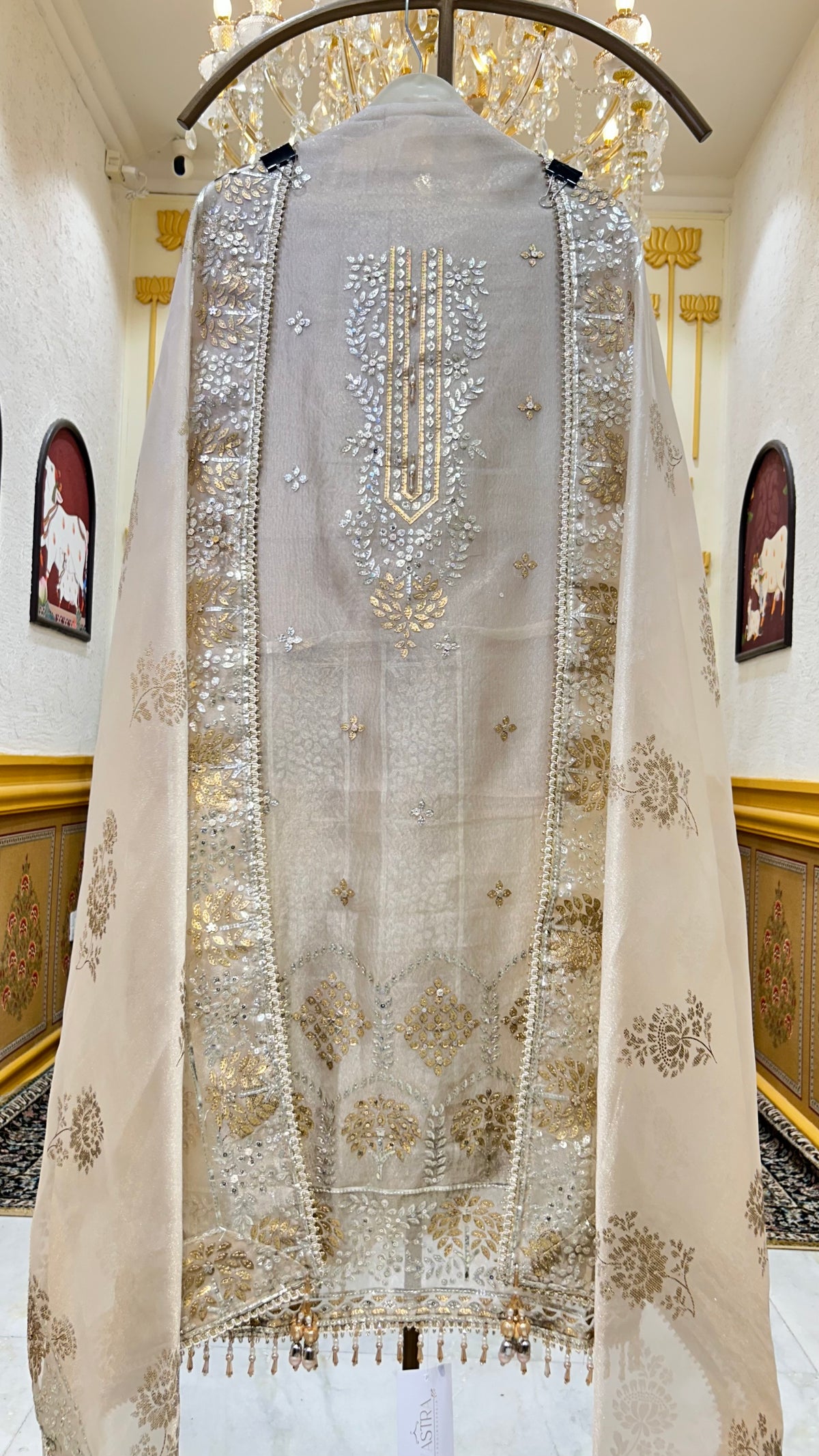 Zarmeiraa Tissue Organza Suit