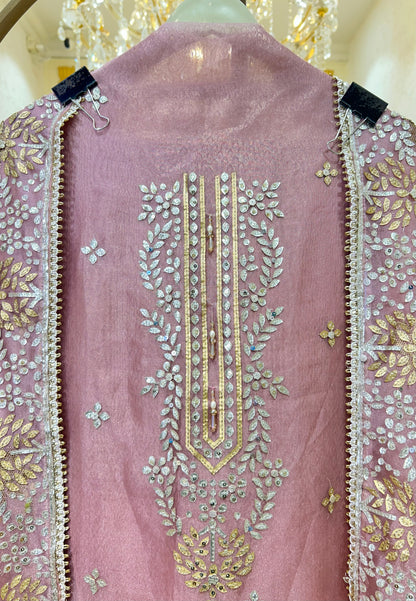 Zarmeiraa Tissue Organza Suit