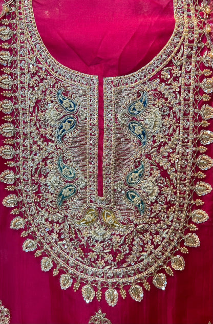 Raziaan Organza Suit