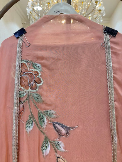 Vrinda Handpaint Organza Suit