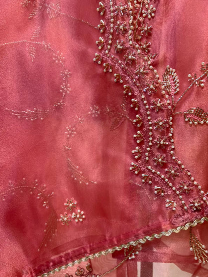 Elina Crush Karigari Suit (Pink)