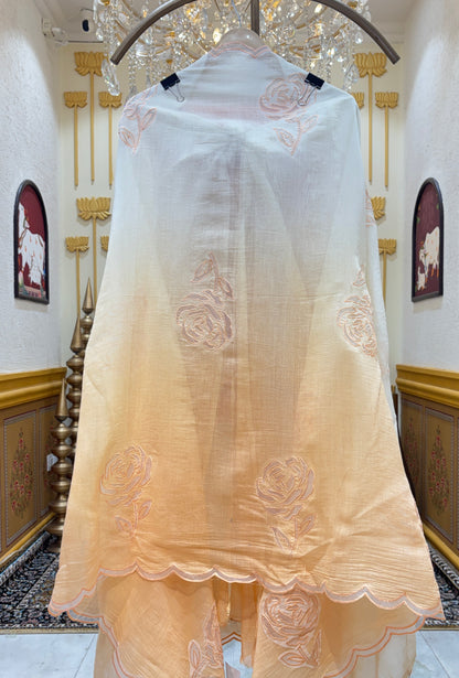 Aabira Appliqué Chanderi Suit