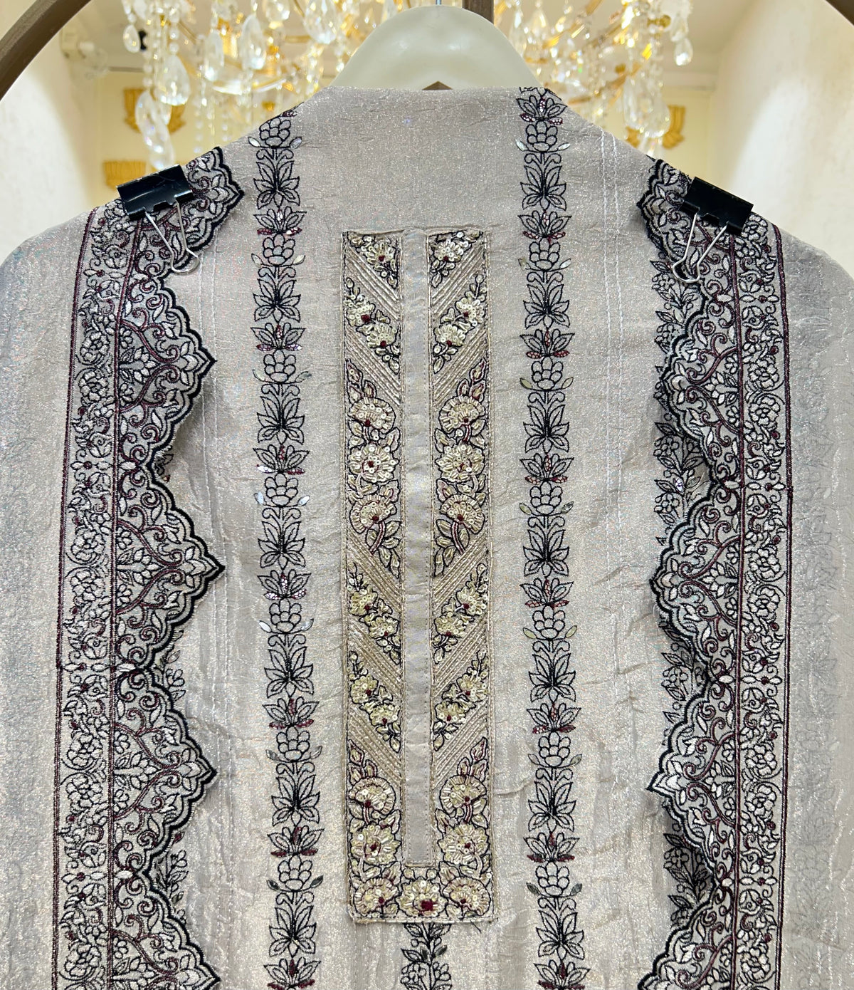 Tavishi Organza Suit