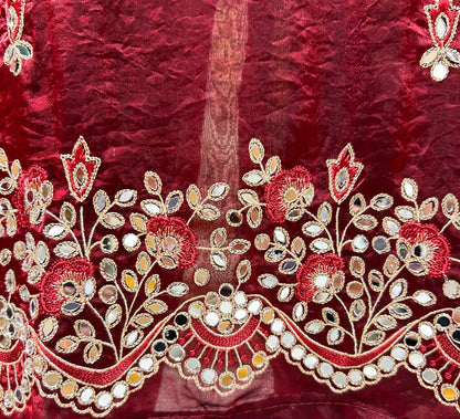Organza Mirror Work Suit