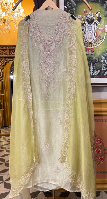 Zarqa Aari Organza Suit