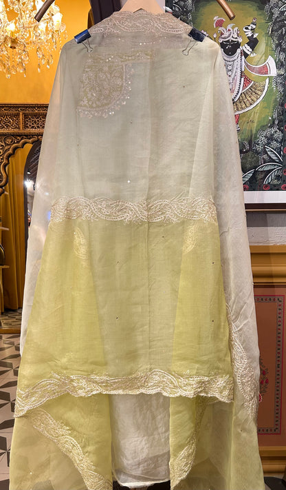Zarqa Aari Organza Suit