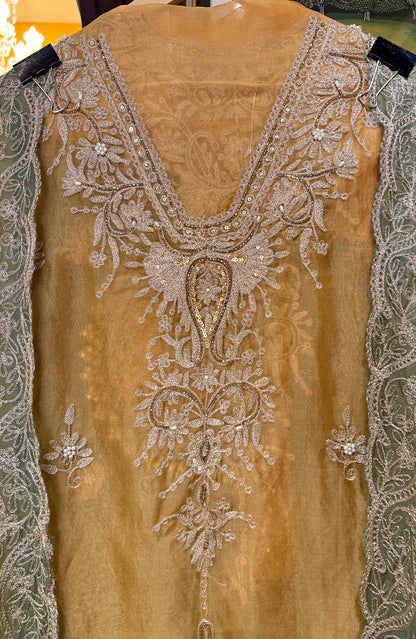 Zarqa Aari Organza Suit