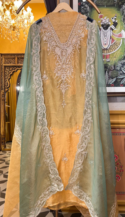 Zarqa Aari Organza Suit