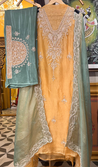 Zarqa Aari Organza Suit