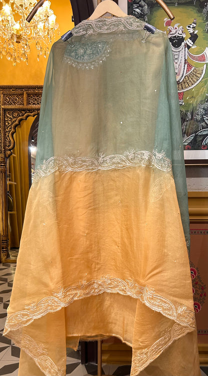 Zarqa Aari Organza Suit