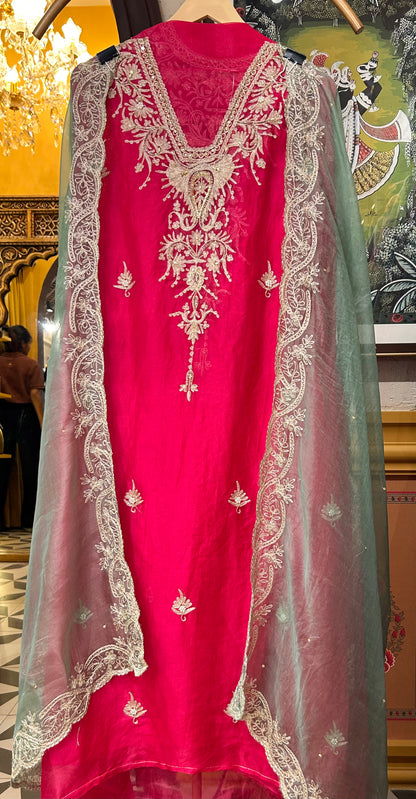 Zarqa Aari Organza Suit