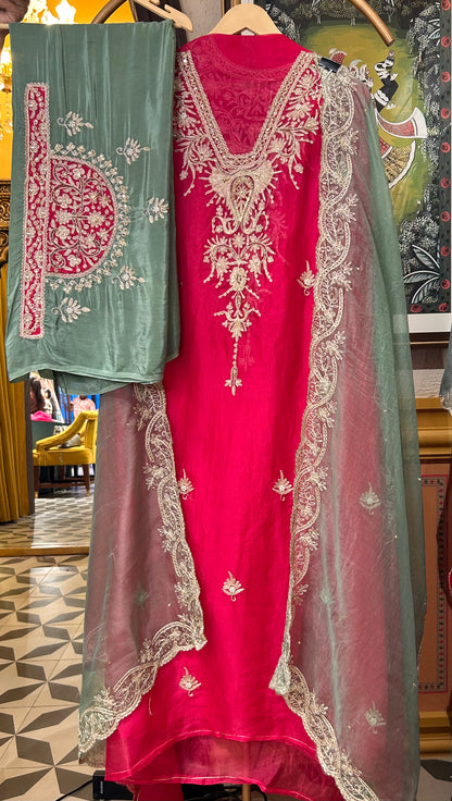 Zarqa Aari Organza Suit