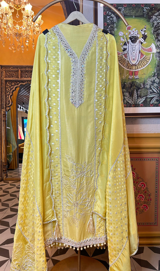 Zohra Shimmer Organza Suit