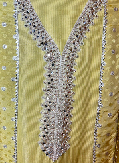 Zohra Shimmer Organza Suit