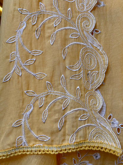 Gulnaar Mul Cotton Suit