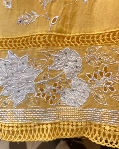 Gulnaar Mul Cotton Suit